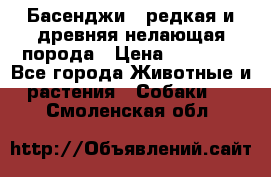 Басенджи - редкая и древняя нелающая порода › Цена ­ 50 000 - Все города Животные и растения » Собаки   . Смоленская обл.